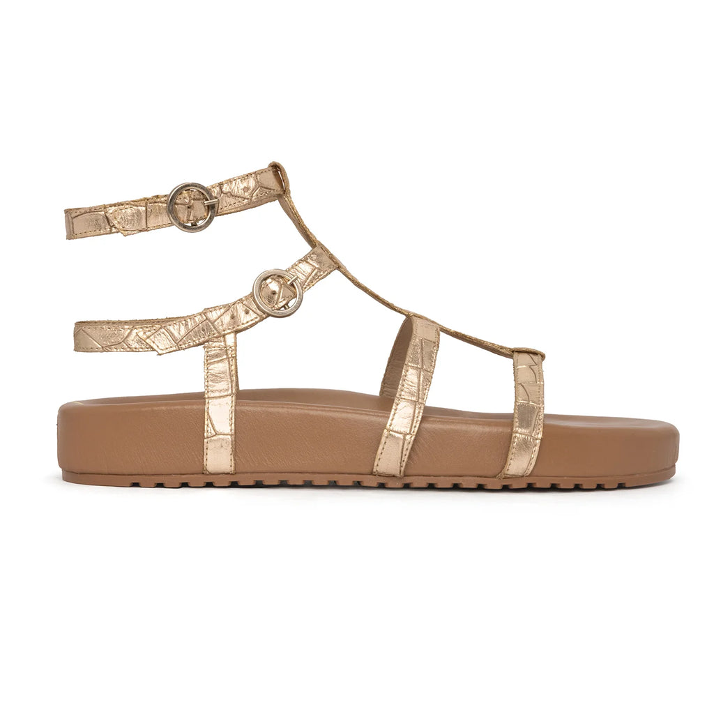 Sandalia Capri Kit Croco Oro
